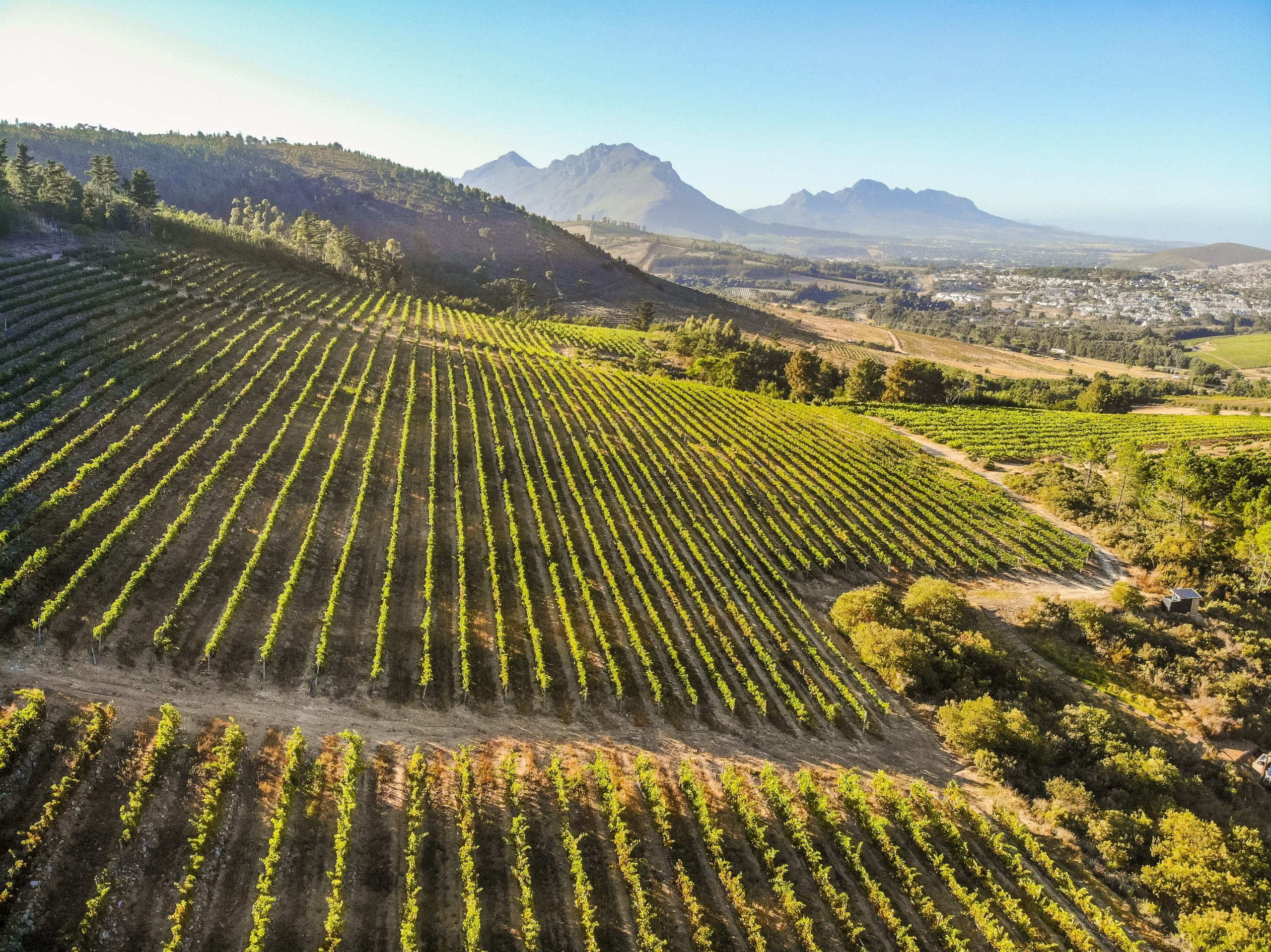 created by dji camera